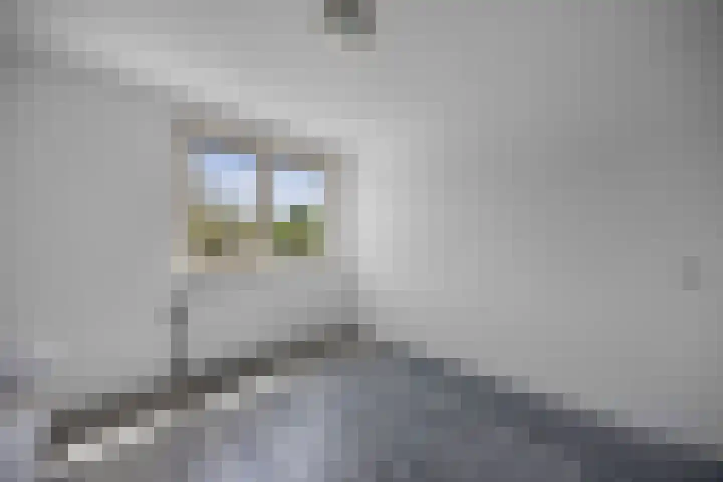 Botter 34 24 Lelystad thumbnail 29