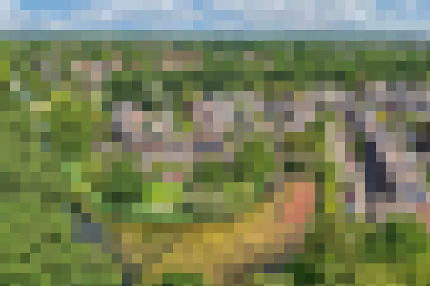 Botter 34 24 Lelystad thumbnail 58
