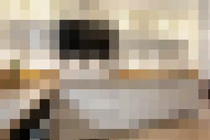 Botter 34 34 2 Lelystad thumbnail 14