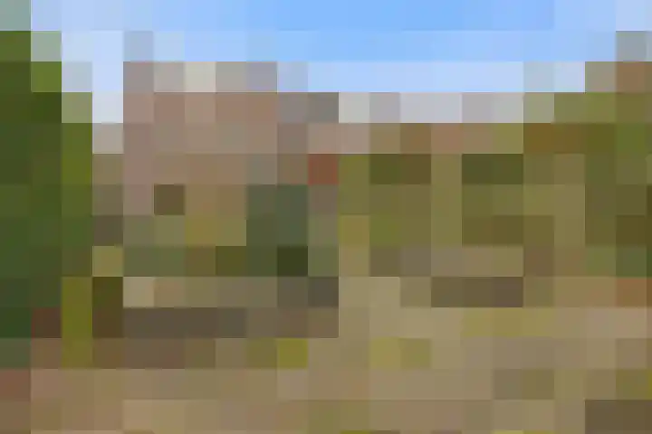 Botter 34 34 2 Lelystad thumbnail 28