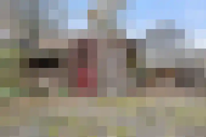 Botter 34 34 2 Lelystad thumbnail 30