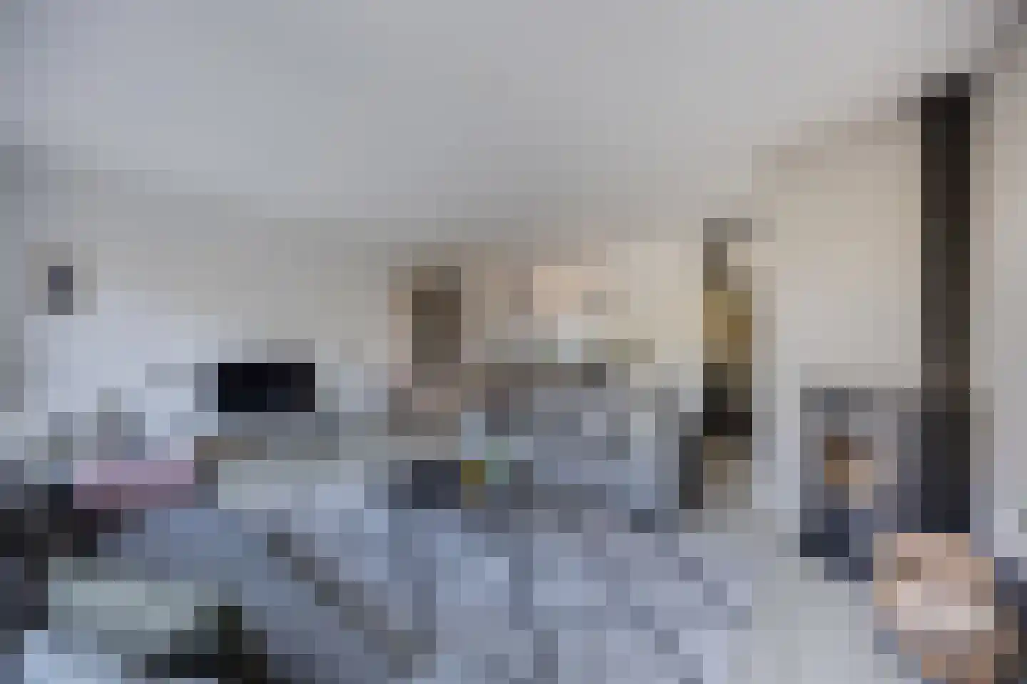Botter 34 34 6 Lelystad thumbnail 12