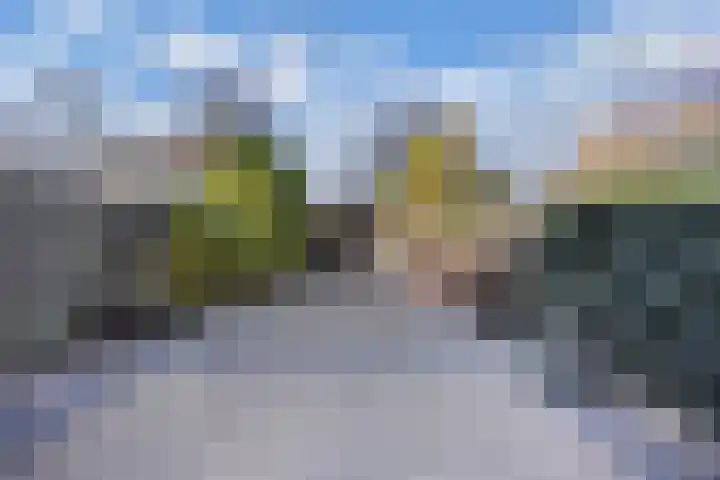 Botter 34 34 6 Lelystad thumbnail 18
