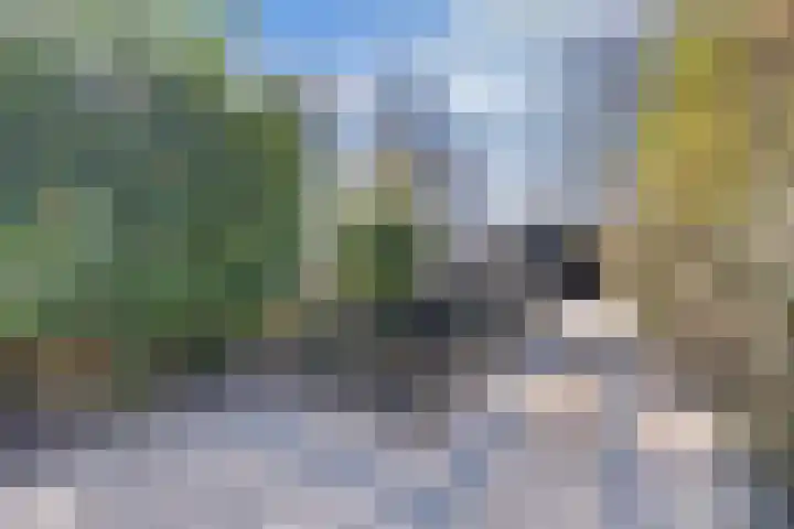 Botter 34 34 6 Lelystad thumbnail 21