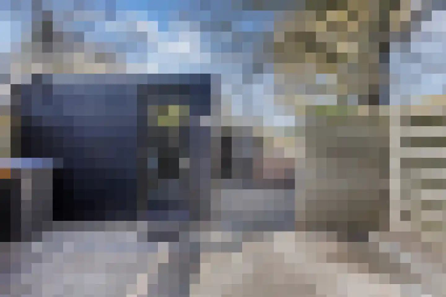Botter 34 34 6 Lelystad thumbnail 22
