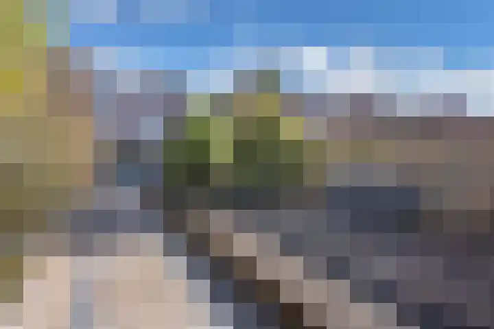 Botter 34 34 6 Lelystad thumbnail 23