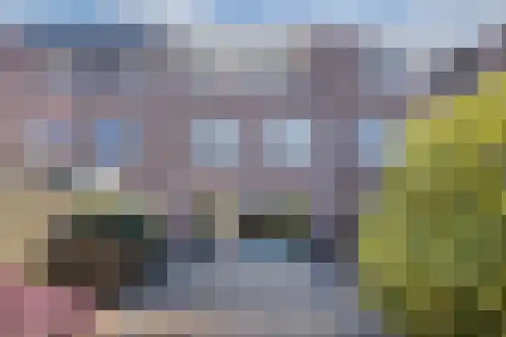 Botter 34 34 6 Lelystad thumbnail 25