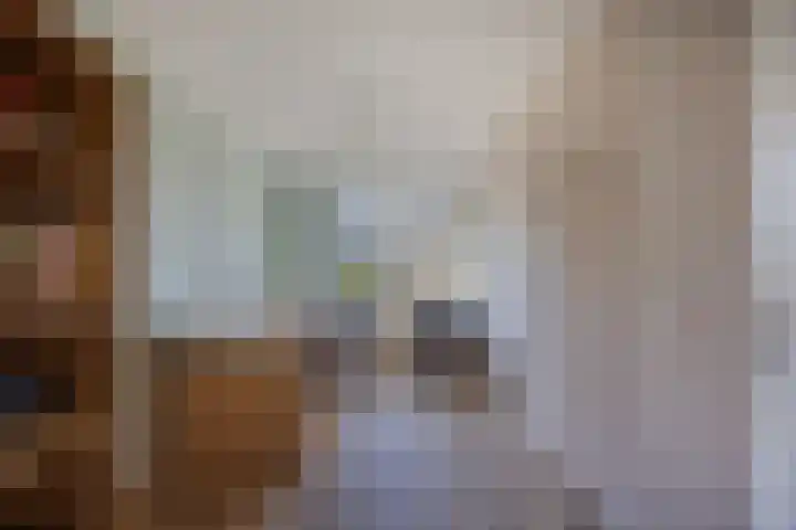 Botter 34 34 6 Lelystad thumbnail 30