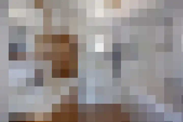 Botter 34 34 6 Lelystad thumbnail 31