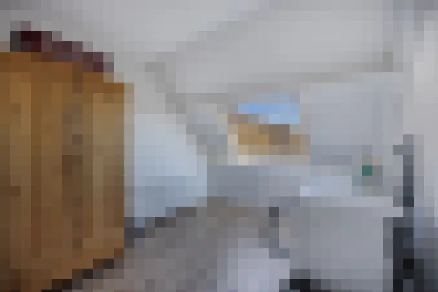 Botter 34 34 6 Lelystad thumbnail 36
