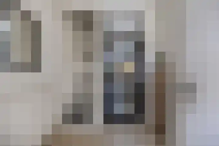 Botter 34 34 6 Lelystad thumbnail 5