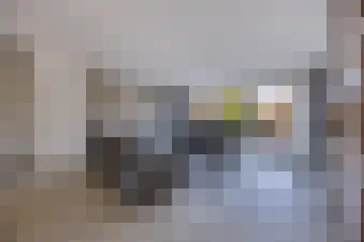Botter 34 34 6 Lelystad thumbnail 9