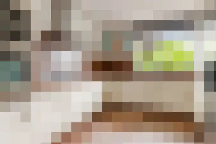 Botter 35 20 Lelystad thumbnail 13