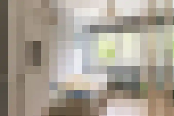 Botter 35 20 Lelystad thumbnail 21