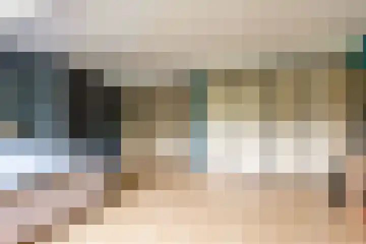 Botter 35 20 Lelystad thumbnail 30