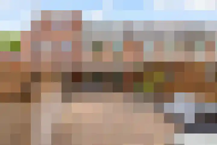Botter 35 20 Lelystad thumbnail 32