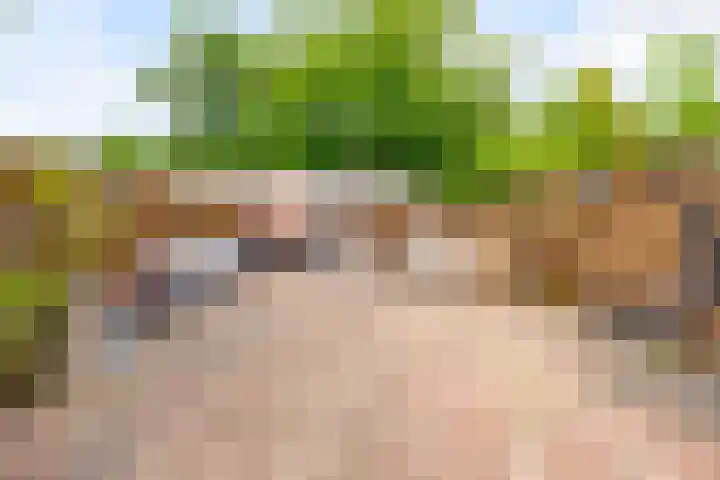 Botter 35 20 Lelystad thumbnail 35