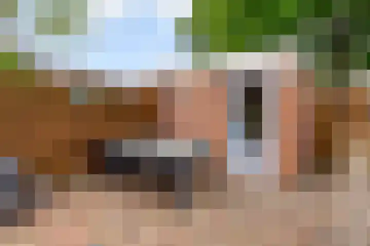Botter 35 20 Lelystad thumbnail 36