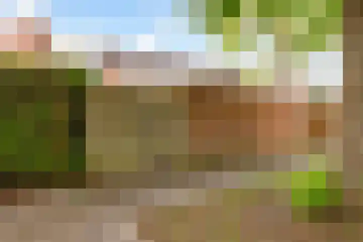 Botter 35 20 Lelystad thumbnail 38
