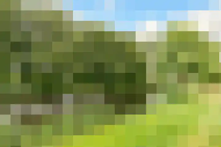 Botter 35 20 Lelystad thumbnail 40
