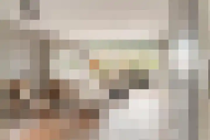 Botter 35 20 Lelystad thumbnail 6