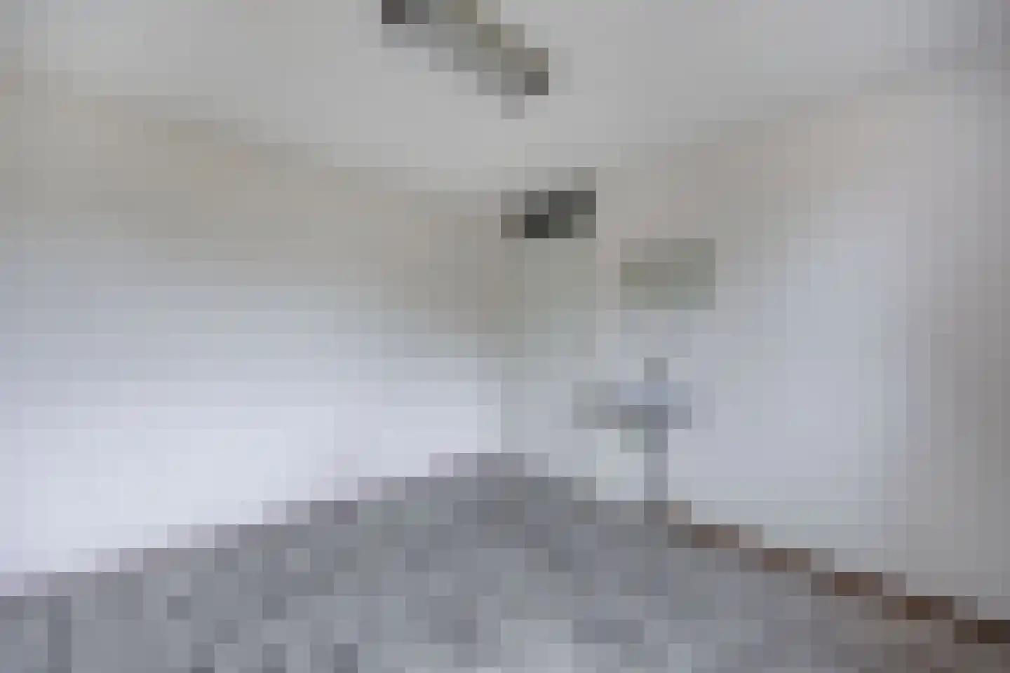 Botter 35 28 Lelystad thumbnail 30