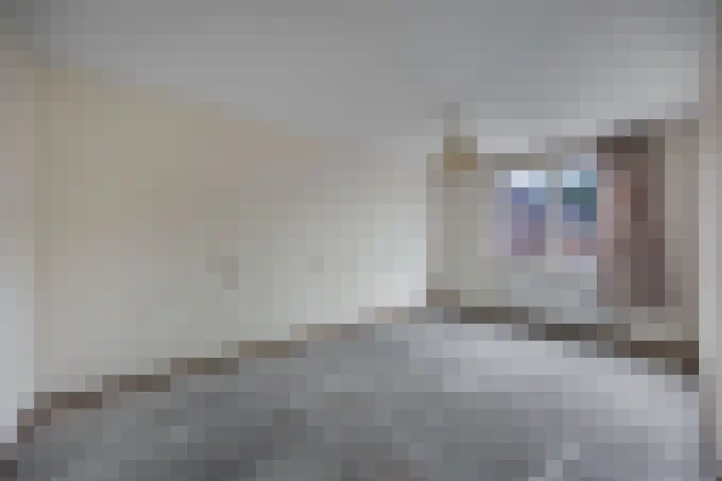 Botter 35 28 Lelystad thumbnail 31