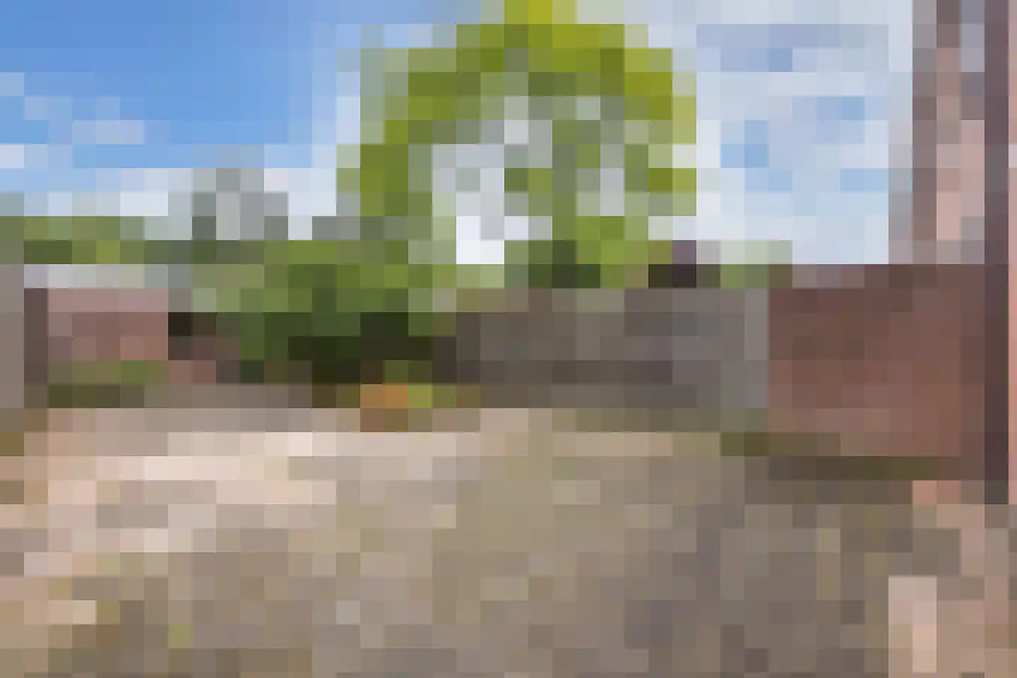 Botter 35 28 Lelystad thumbnail 4