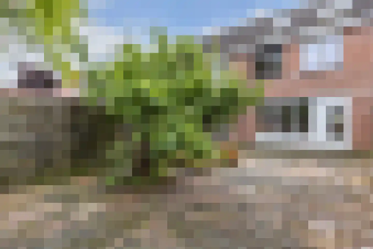 Botter 35 28 Lelystad thumbnail 47