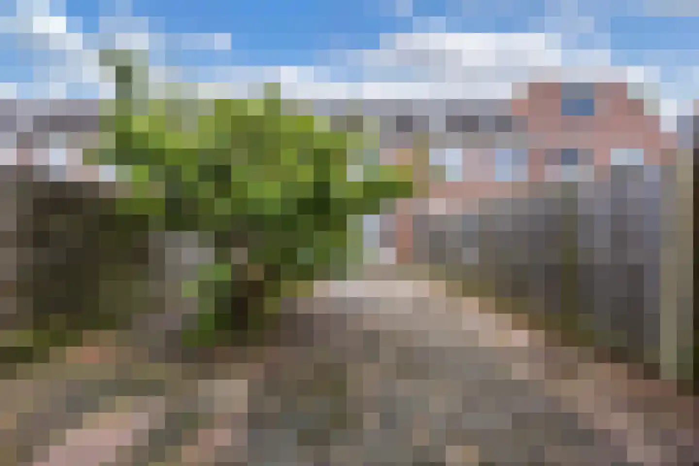 Botter 35 28 Lelystad thumbnail 48
