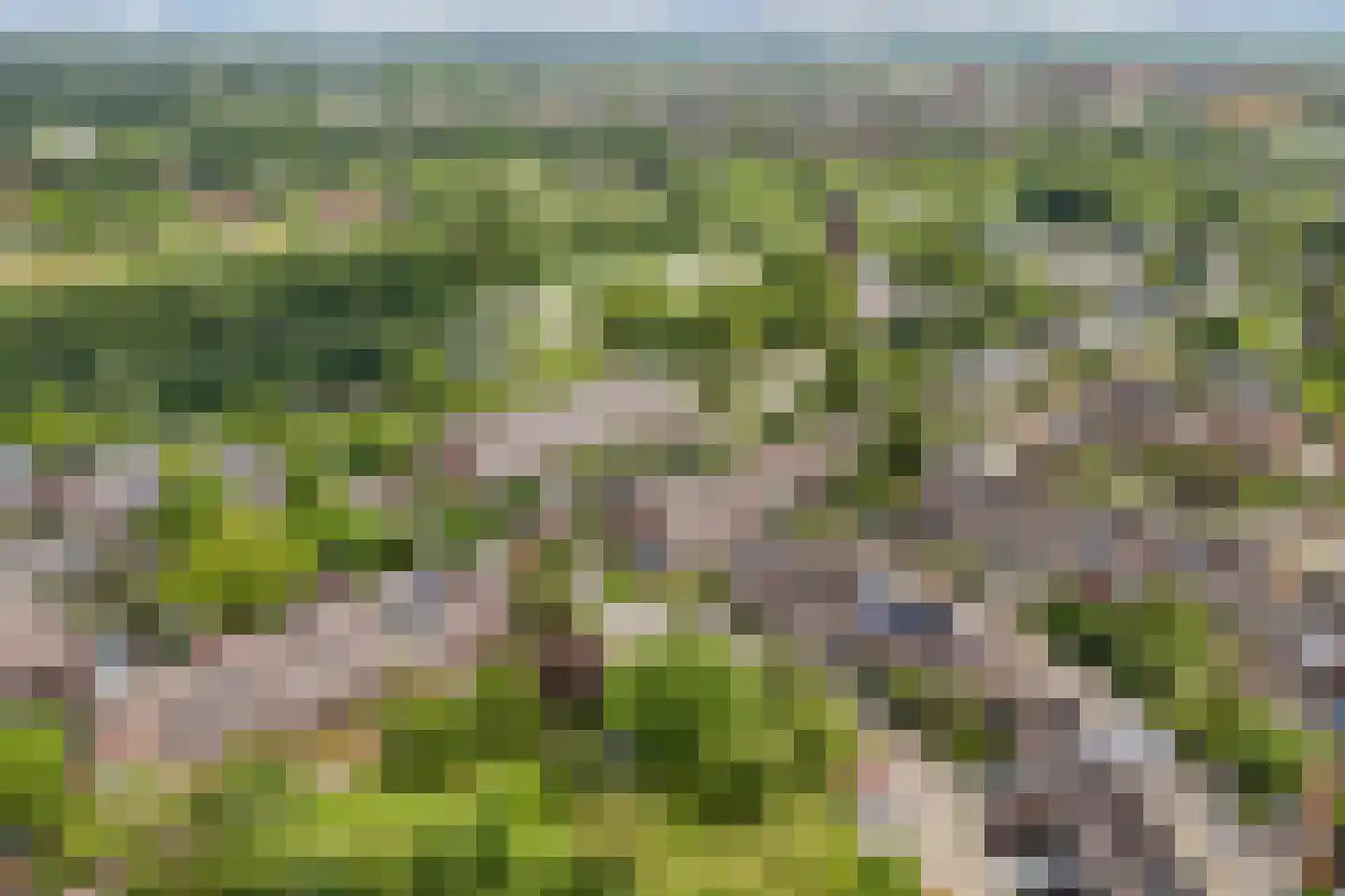 Botter 35 28 Lelystad thumbnail 5