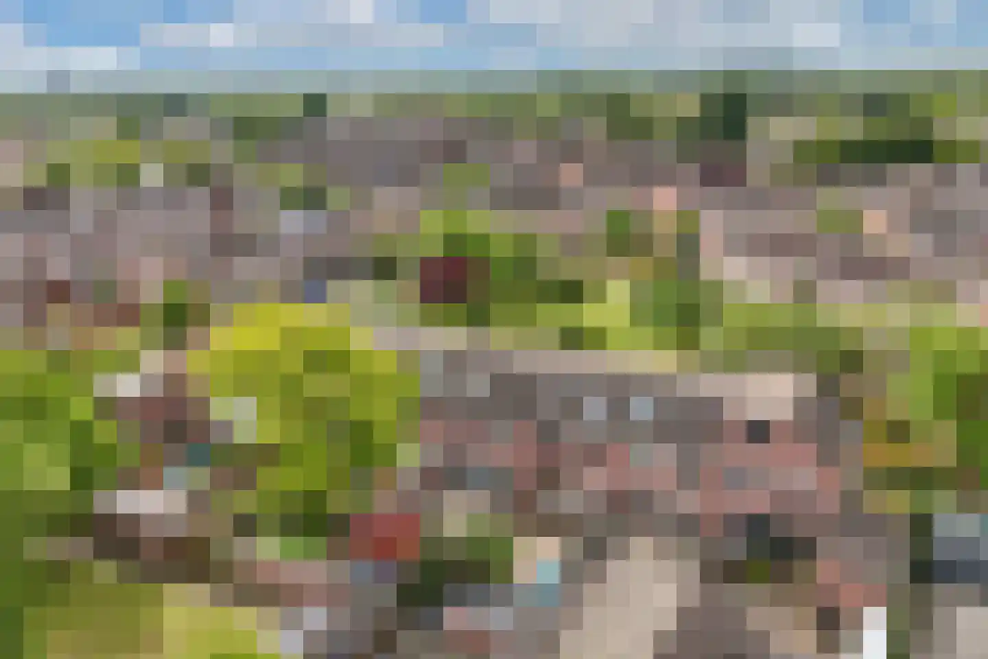 Botter 35 28 Lelystad thumbnail 57