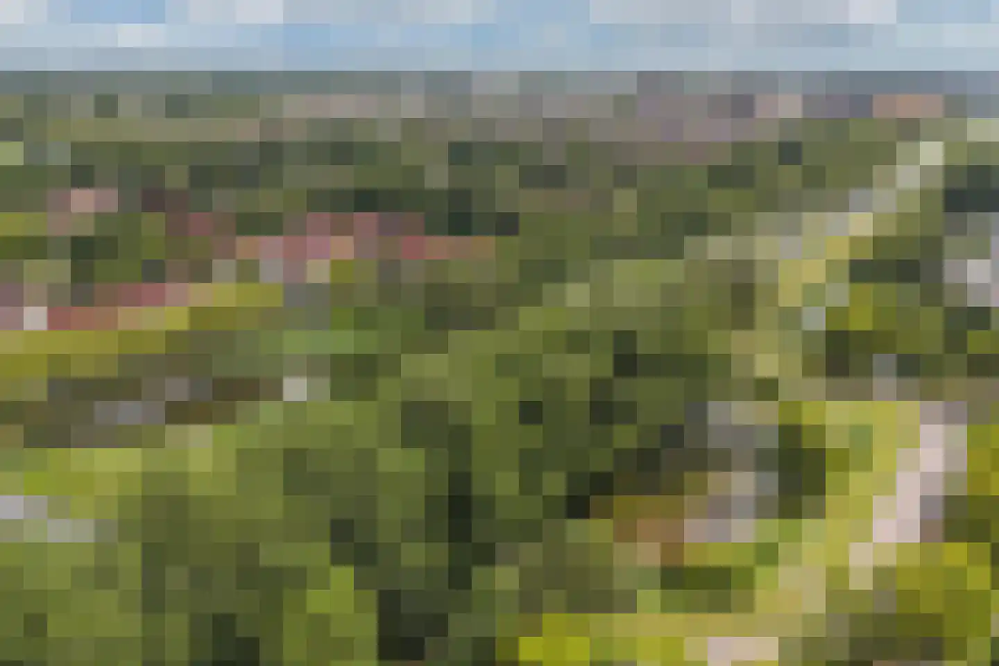 Botter 35 28 Lelystad thumbnail 59