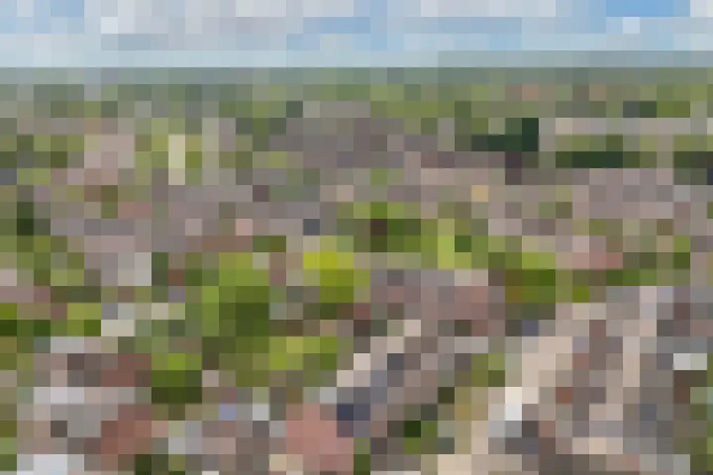 Botter 35 28 Lelystad thumbnail 6