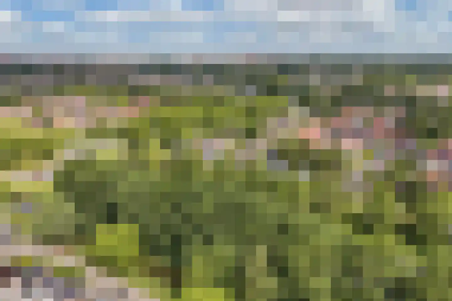 Botter 35 28 Lelystad thumbnail 60