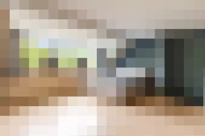 Botter 35 35 20 Lelystad thumbnail 29