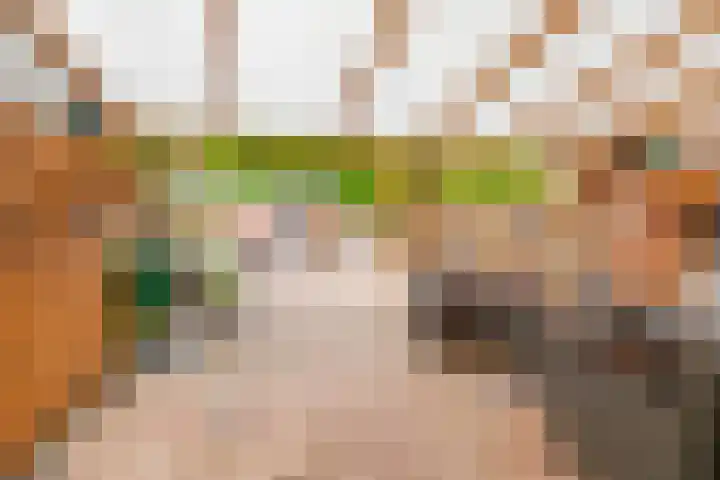 Botter 35 35 20 Lelystad thumbnail 31
