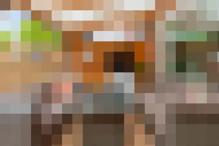 Botter 35 35 20 Lelystad thumbnail 33