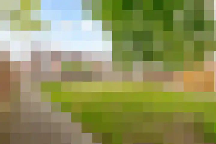 Botter 35 35 20 Lelystad thumbnail 39
