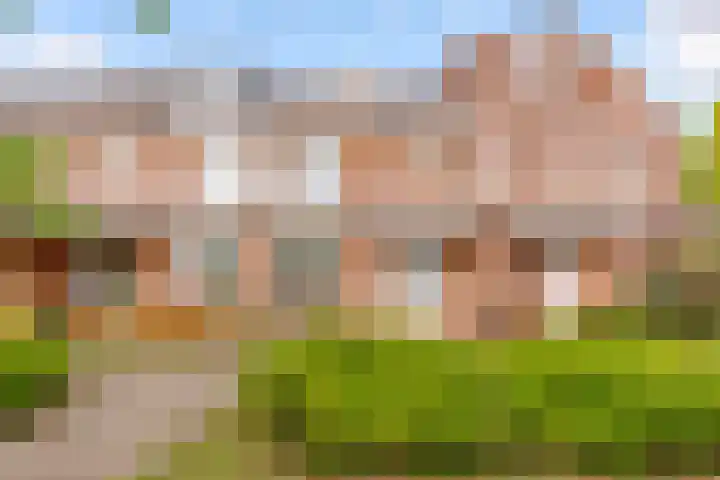 Botter 35 35 20 Lelystad thumbnail 45