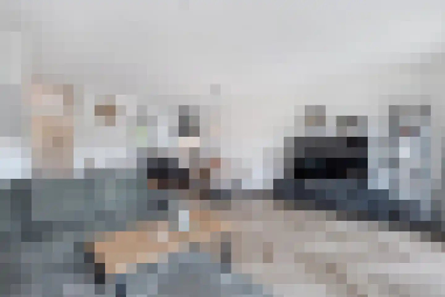 Botter 36 12 Lelystad thumbnail 14