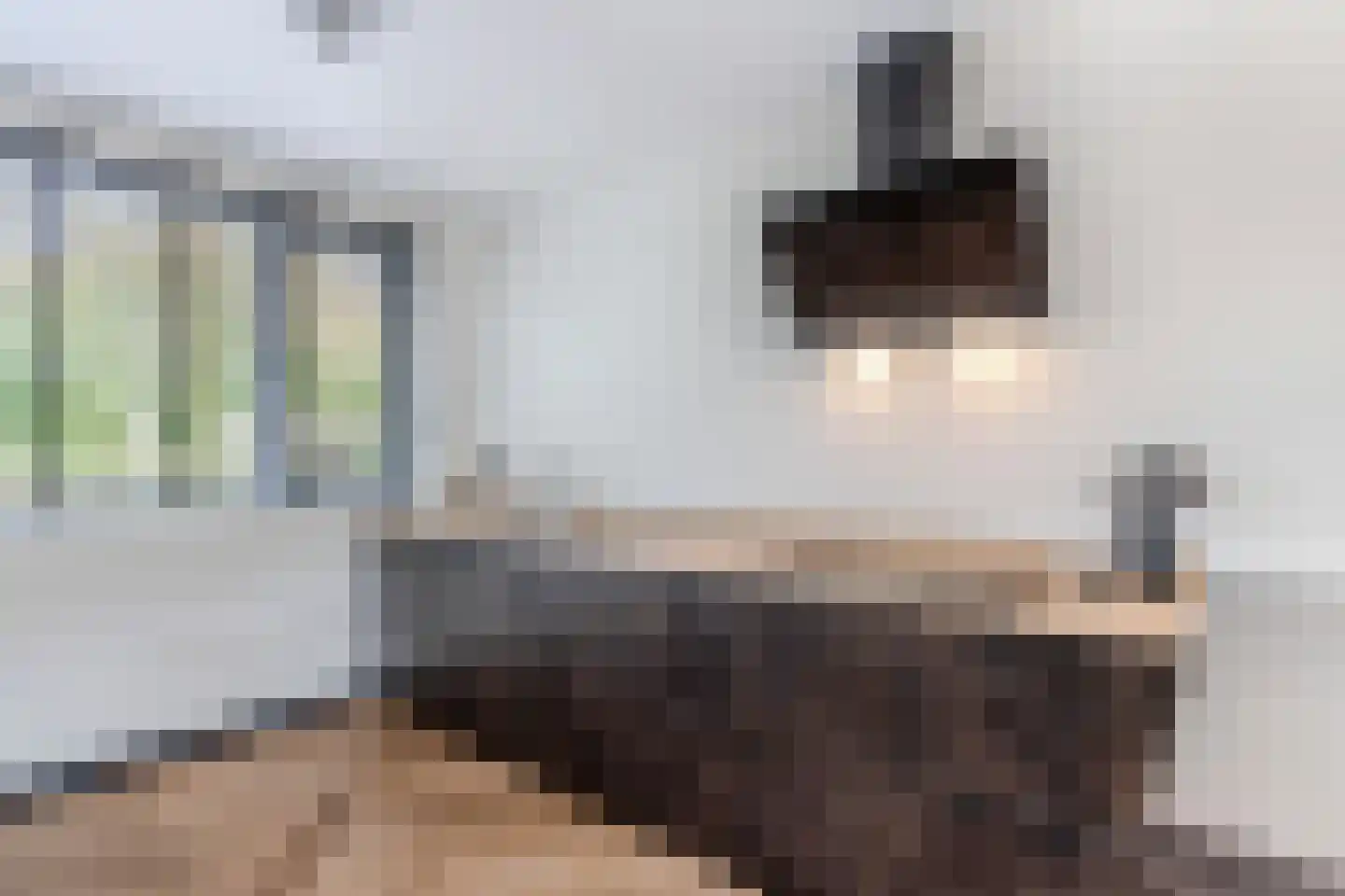 Botter 36 12 Lelystad thumbnail 19