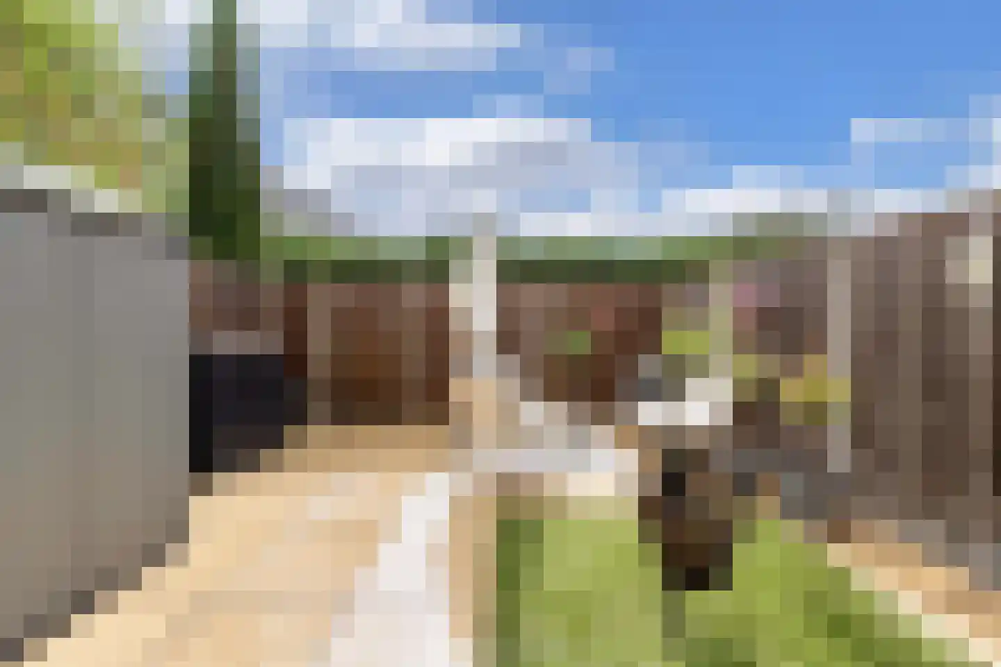 Botter 36 12 Lelystad thumbnail 24