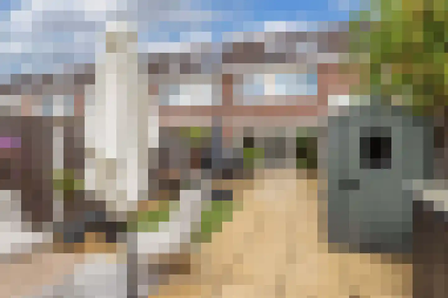 Botter 36 12 Lelystad thumbnail 26