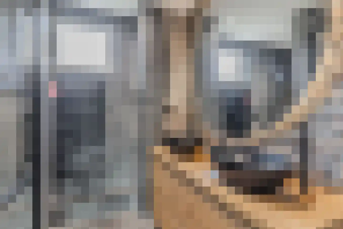 Botter 36 12 Lelystad thumbnail 36
