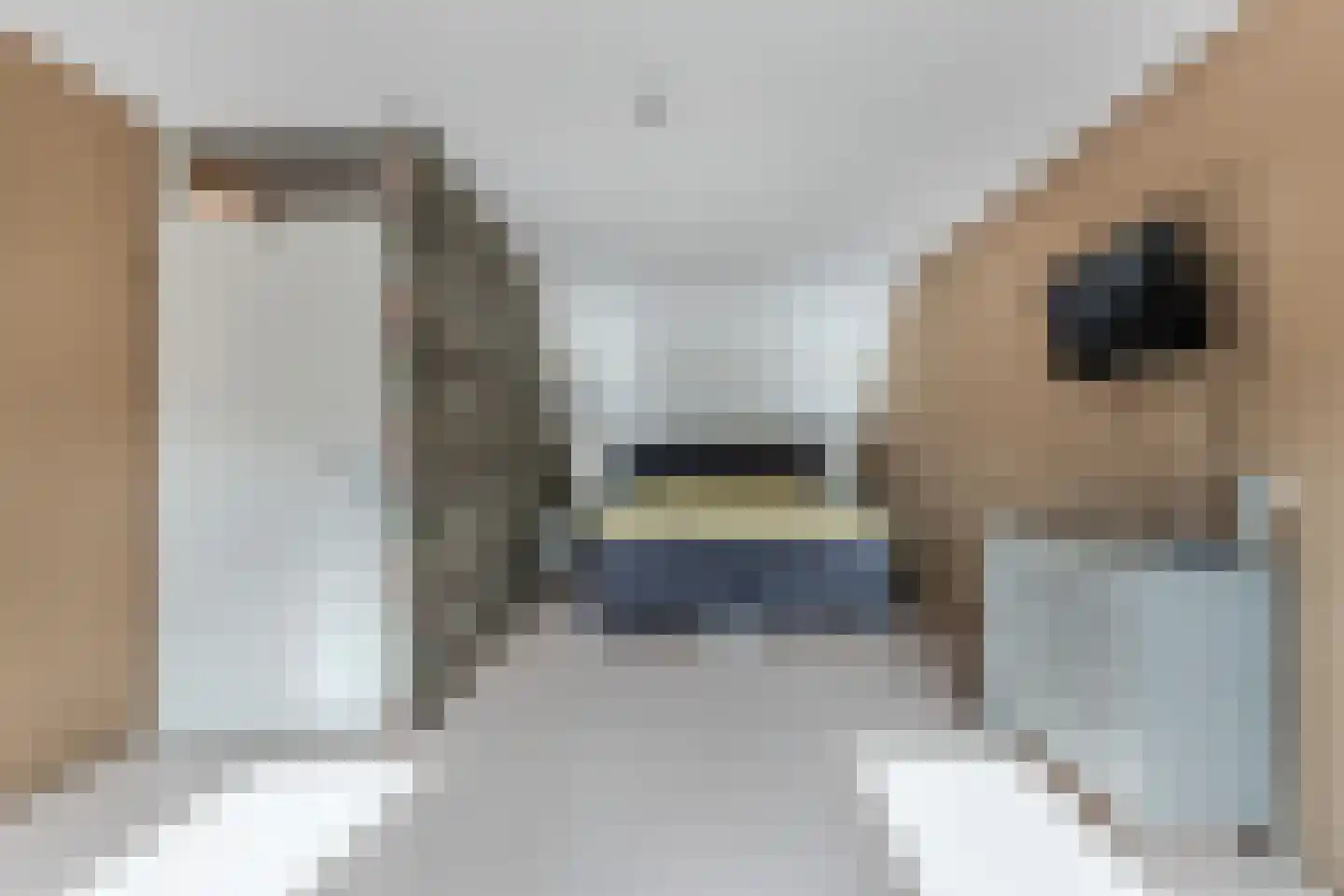 Botter 36 12 Lelystad thumbnail 43