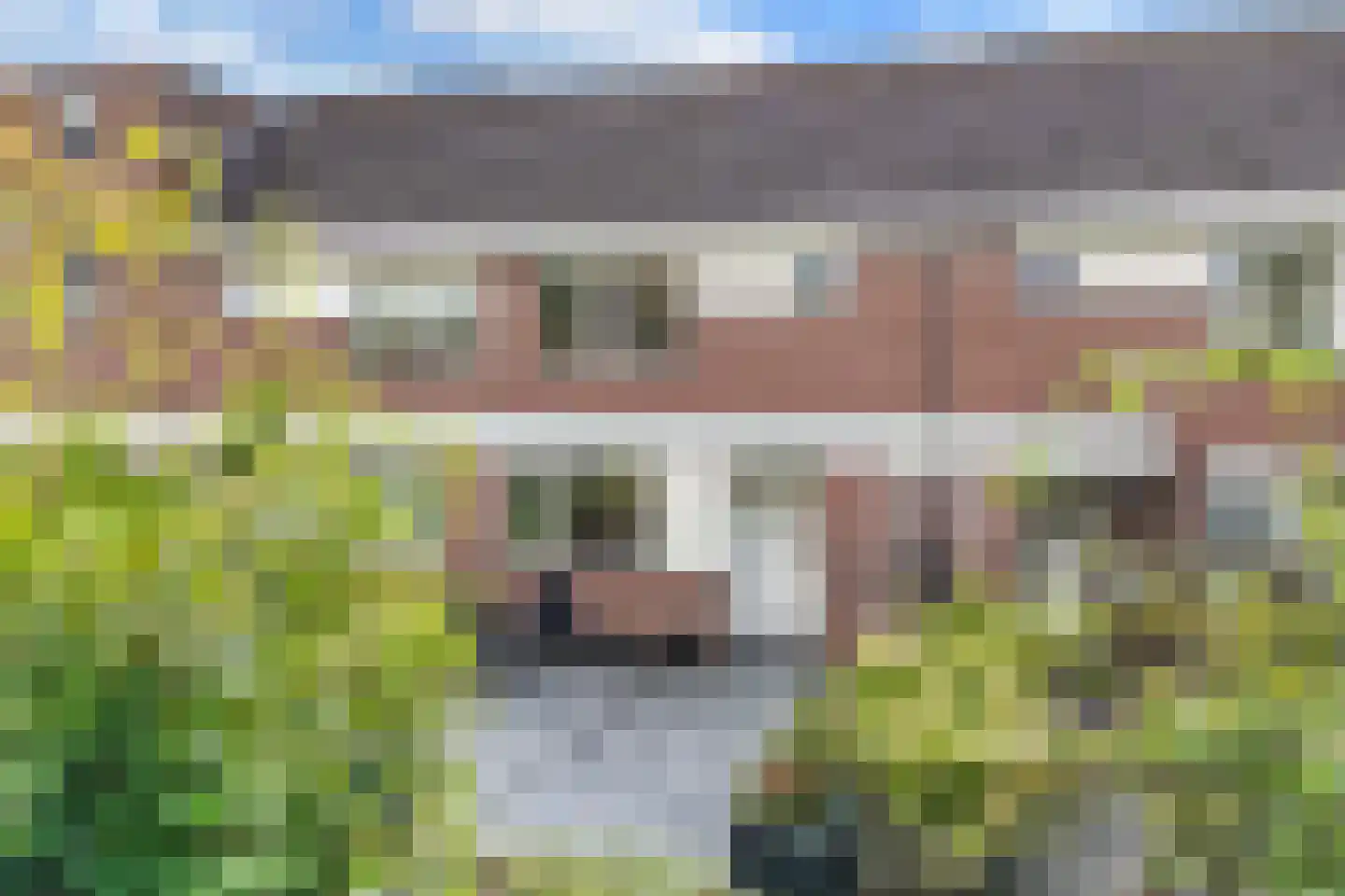 Botter 36 12 Lelystad thumbnail 45