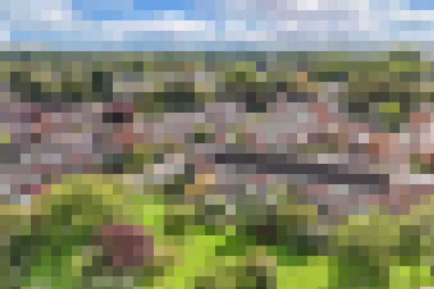 Botter 36 12 Lelystad thumbnail 49