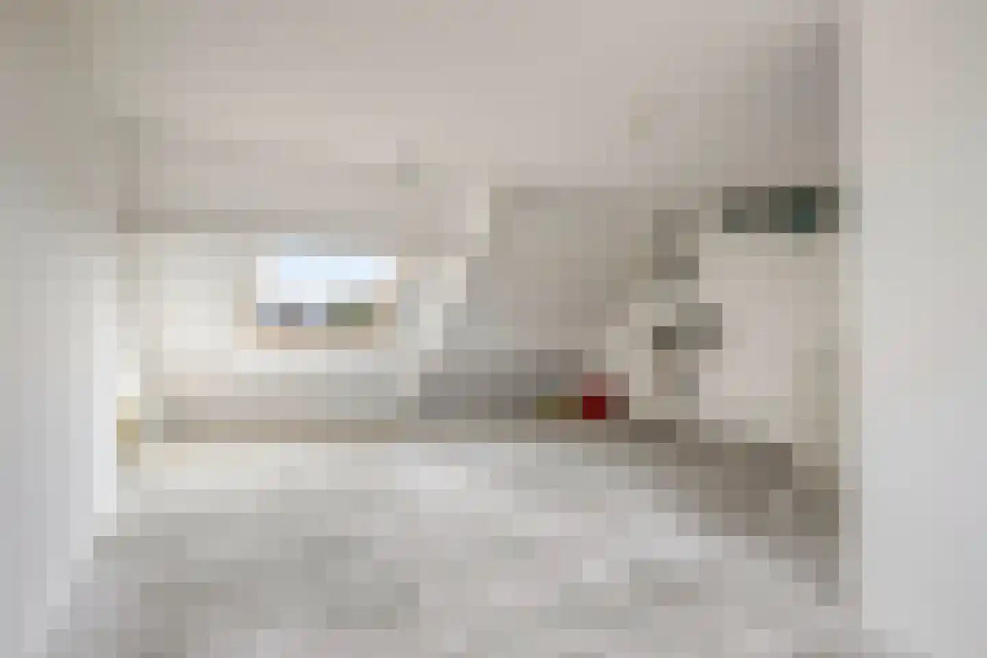 Botter 36 13 Lelystad thumbnail 23