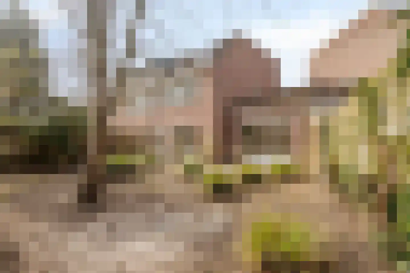 Botter 36 13 Lelystad thumbnail 24